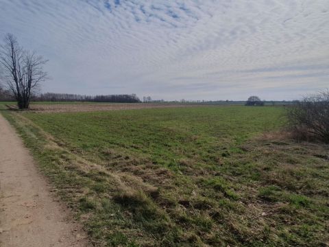 Sprzedaż Działka Ludwinów, pow. miński