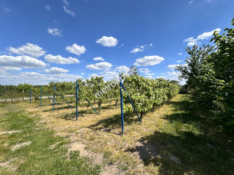 Dom na sprzedaż, Grójecki, Zaborów