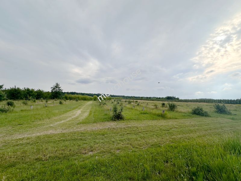 Działka na sprzedaż, Piaseczyński, Potycz