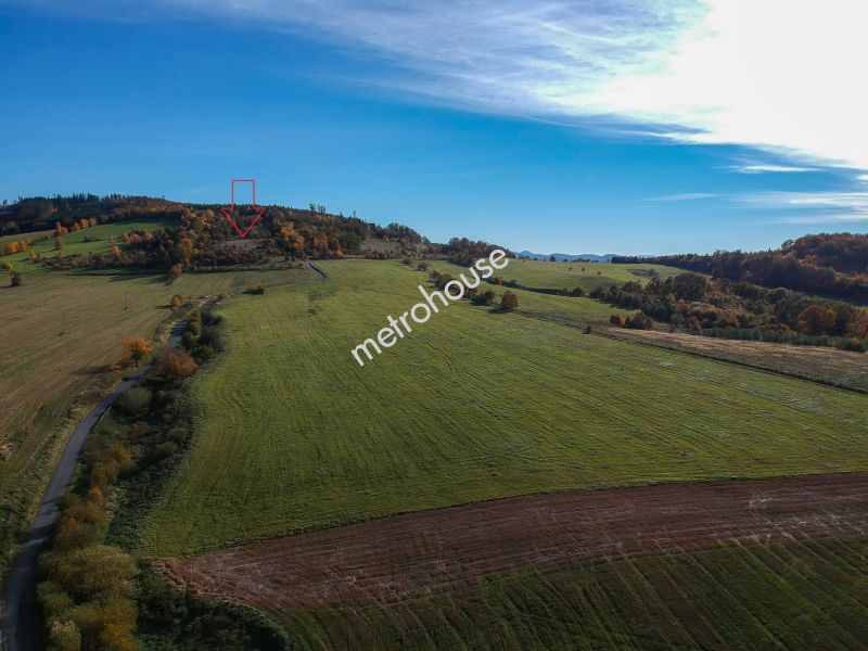 Działka na sprzedaż, Kłodzki, Wojciechowice