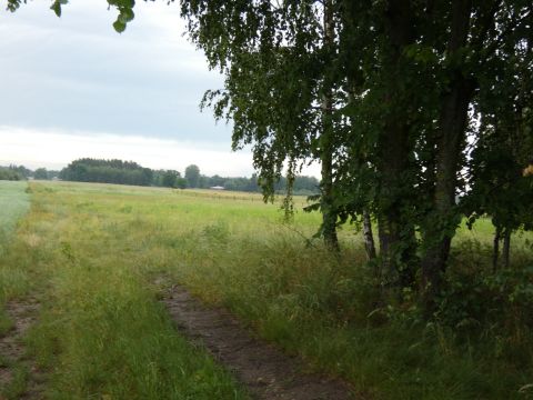 Sprzedaż Działka Nowa Mała Wieś, pow. nowodworski