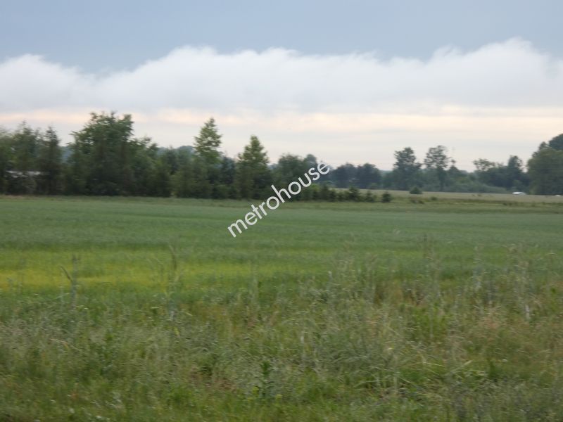 Działka na sprzedaż, Nowodworski, Nowa Mała Wieś