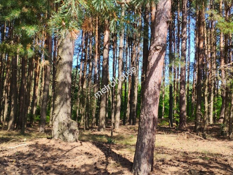 Działka na sprzedaż, Wołomiński, Helenów