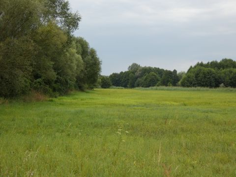 Sprzedaż Działka Secymin Polski, pow. nowodworski