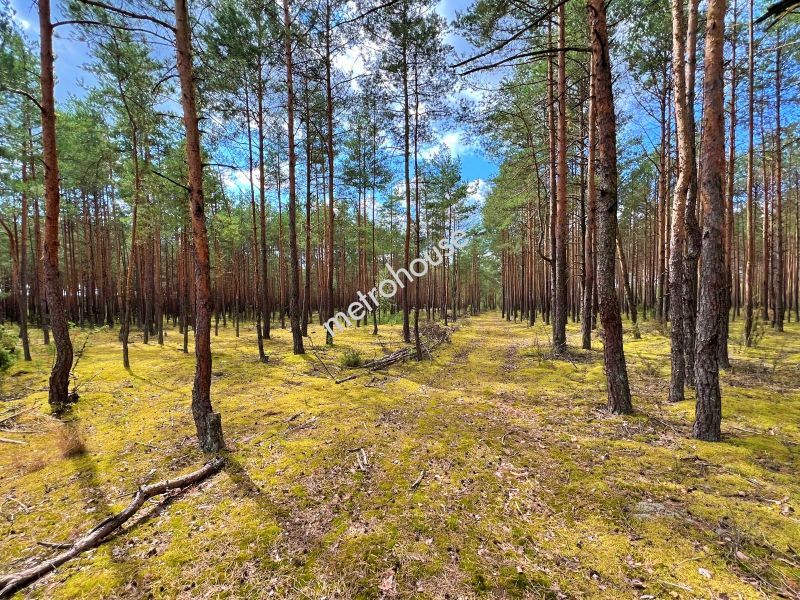 Działka na sprzedaż, Ostrołęcki, Wykrot