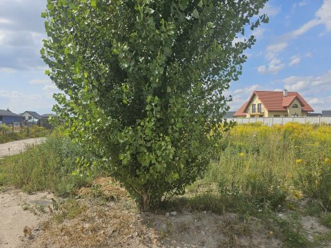 Sprzedaż Działka Raszyn, pow. pruszkowski