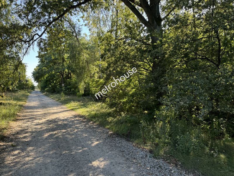 Działka na sprzedaż, Zgierski, Aleksandrów Łódzki, Słowak