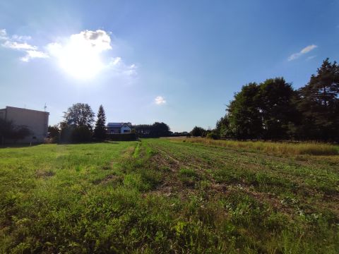 Sprzedaż Działka Czyżowicka, Wodzisław Śląski