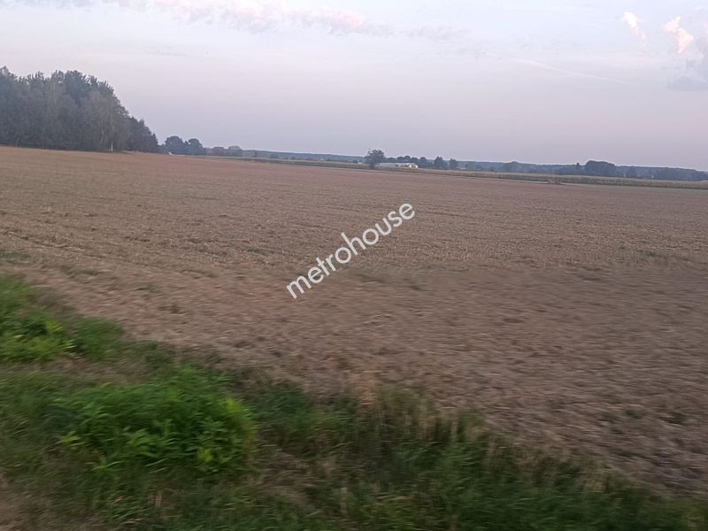 Działka na sprzedaż, Sokołowski, Kupientyn