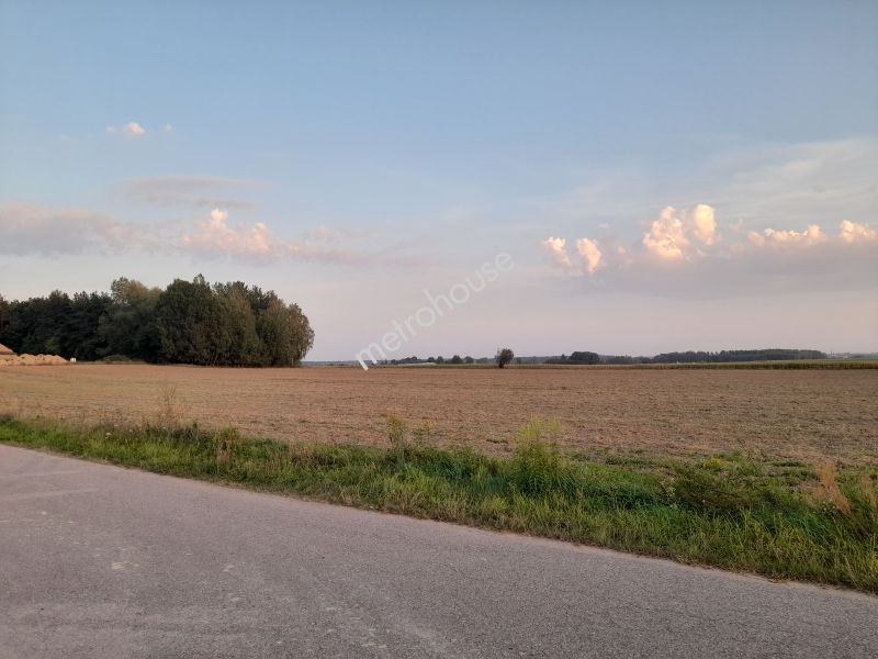 Działka na sprzedaż, Sokołowski, Kupientyn