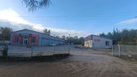 Wynajem Działka Męczenników, Działdowo