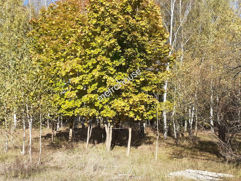 Dom na sprzedaż, Siedlecki, Żeliszew Duży