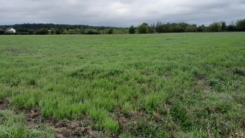 Sprzedaż Działka Podgórze-Parcele, pow. płocki