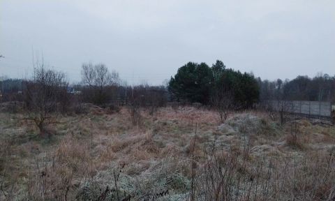 Sprzedaż Działka Kielecka, Brzeziny