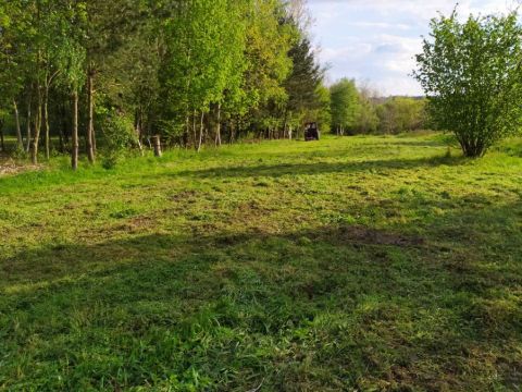 Sprzedaż Działka Ciągowice, pow. zawierciański