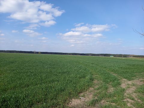 Sprzedaż Działka Lisiewice Małe, pow. łowicki