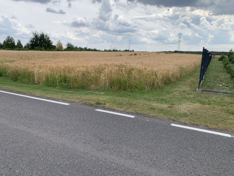 Sprzedaż Działka Przyjaźni, Magnuszew, pow. kozienicki