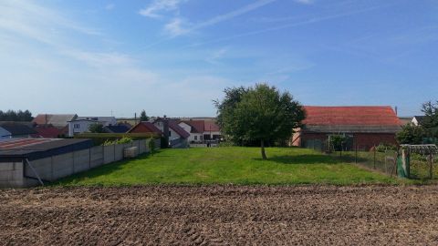Sprzedaż Działka Biedrzychowice, pow. prudnicki