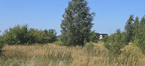 Sprzedaż Działka Szkolna, Strzelno, pow. pucki