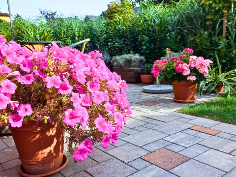 Sprzedaż Dom Piastów, pow. pruszkowski