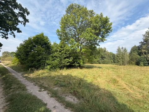 Sprzedaż Dom Stare Litewniki, pow. łosicki