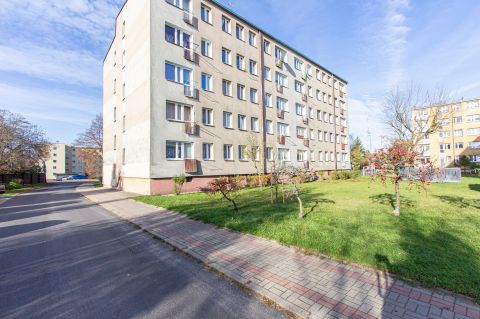 Sprzedaż Mieszkanie Spółdzielcza, Szczecinek