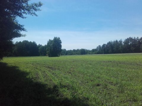 Sprzedaż Działka Świerkowo, pow. pułtuski