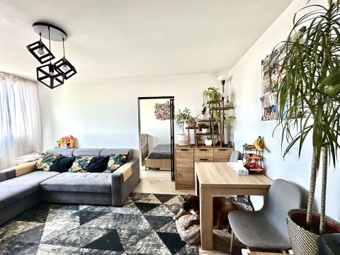 Sprzedaż Mieszkanie Paderewskiego, Górna, Łódź