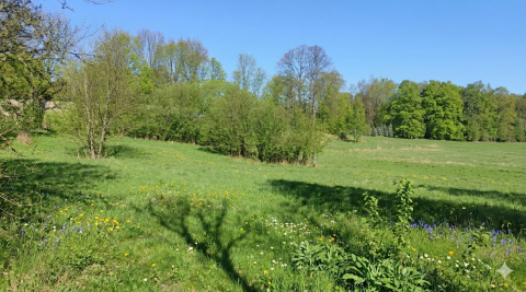 Sprzedaż Działka Ziemiary, pow. skierniewicki