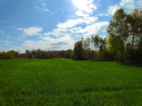 Sprzedaż Działka Gruntowa, Rybnik