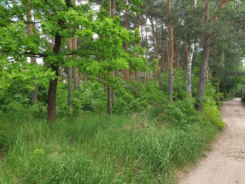 Sprzedaż Działka Wawer, Warszawa